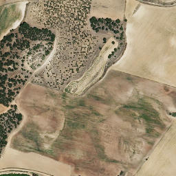 Satellite imagery of survey_point, ES