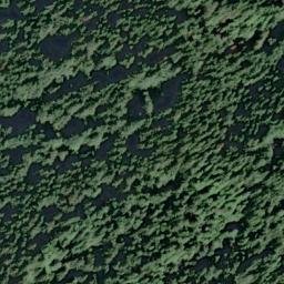 Satellite imagery of Gold Bluffs, US