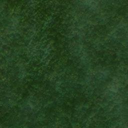 Satellite imagery of Red Ridge, US