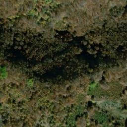 Satellite imagery of Debelčica, MK