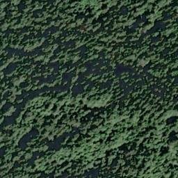 Satellite imagery of Gold Bluffs, US