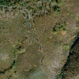 Satellite imagery of Debelčica, MK