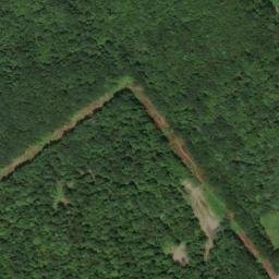 Satellite imagery of Chestnut Ridge, US