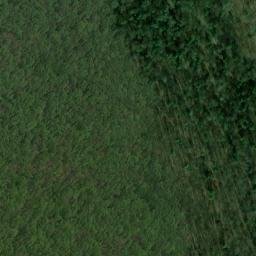 Satellite imagery of Fisher Point, US