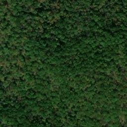 Satellite imagery of Bushley Ridge, US