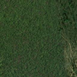 Satellite imagery of Fisher Point, US