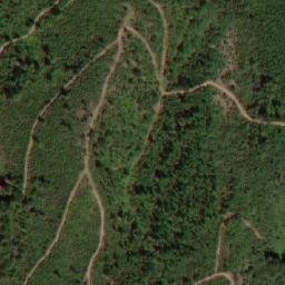 Satellite imagery of Trnka, MK