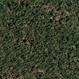 Satellite imagery of Red Fir Ridge, US