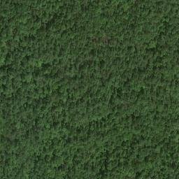 Satellite imagery of Fisher Point, US