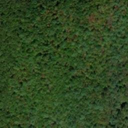 Satellite imagery of Elk Lick Bluff, US