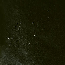 Satellite imagery of Potopaug Point, US