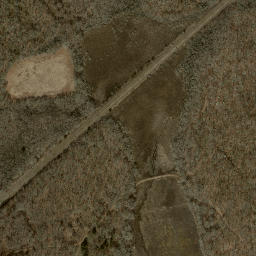 Satellite imagery of Palmer Neck, US
