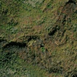 Satellite imagery of Golaš, MK