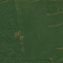 Satellite imagery of Prospect Ridge, US