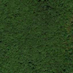 Satellite imagery of Elk Lick Bluff, US