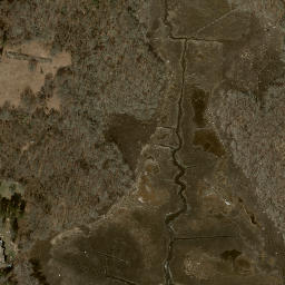 Satellite imagery of Palmer Neck, US