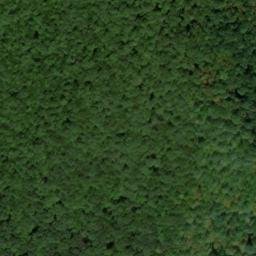Satellite imagery of Elk Lick Bluff, US