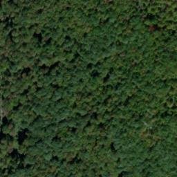 Satellite imagery of Elk Lick Bluff, US