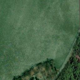 Satellite imagery of Mystery Point, US