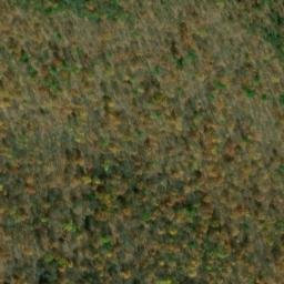 Satellite imagery of Allegheny Ridge, US