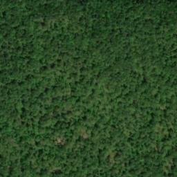 Satellite imagery of Rock Oak Ridge, US
