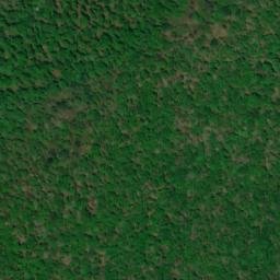Satellite imagery of Rock Oak Ridge, US