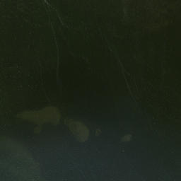 Satellite imagery of Randall Point, US