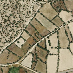 Satellite imagery of survey_point, PT