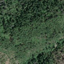 Satellite imagery of Tripp Point, US
