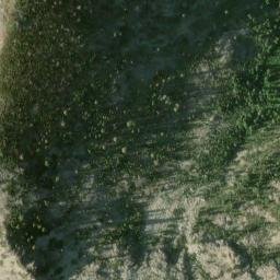 Satellite imagery of One Hundred Dollar Mine, US