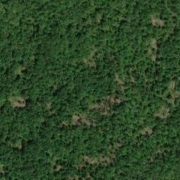 Satellite imagery of Rock Oak Ridge, US
