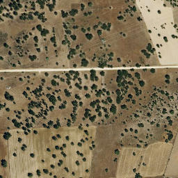 Satellite imagery of survey_point, PT