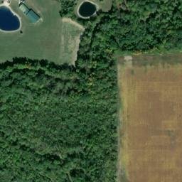 Satellite imagery of Custar Stone Quarry, US