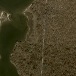 Satellite imagery of Gardiner Point, US