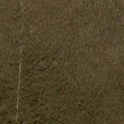 Satellite imagery of Gardiner Point, US