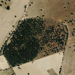 Satellite imagery of survey_point, PT