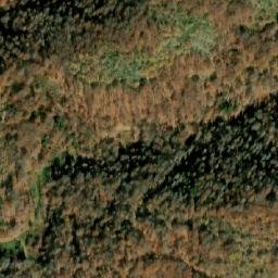 Satellite imagery of Ljutik, MK