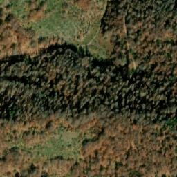 Satellite imagery of Ljutik, MK