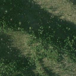 Satellite imagery of Salmon River Mine, US