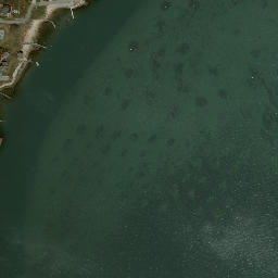 Satellite imagery of Morgan Point, US