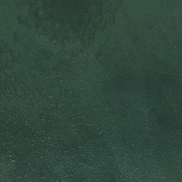 Satellite imagery of Money Point, US