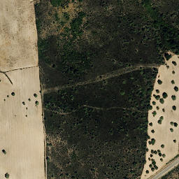 Satellite imagery of survey_point, PT