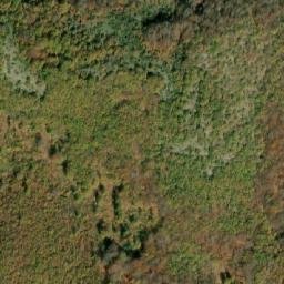 Satellite imagery of Ljutik, MK