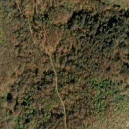 Satellite imagery of Ljutik, MK