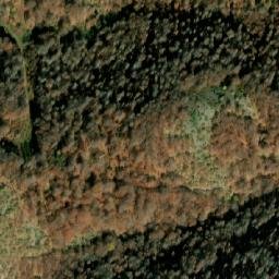 Satellite imagery of Ljutik, MK