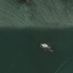 Satellite imagery of Eastern Point, US