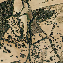 Satellite imagery of survey_point, PT