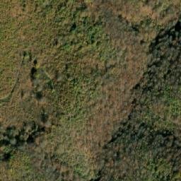 Satellite imagery of Ljutik, MK