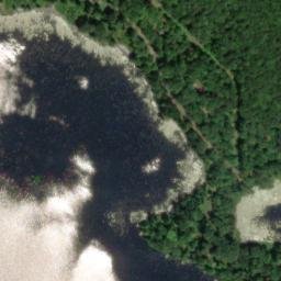 Satellite imagery of Pickerel Point, US