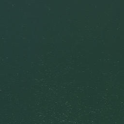 Satellite imagery of Bushy Point, US